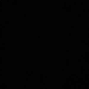 Meet your Posher, Callie